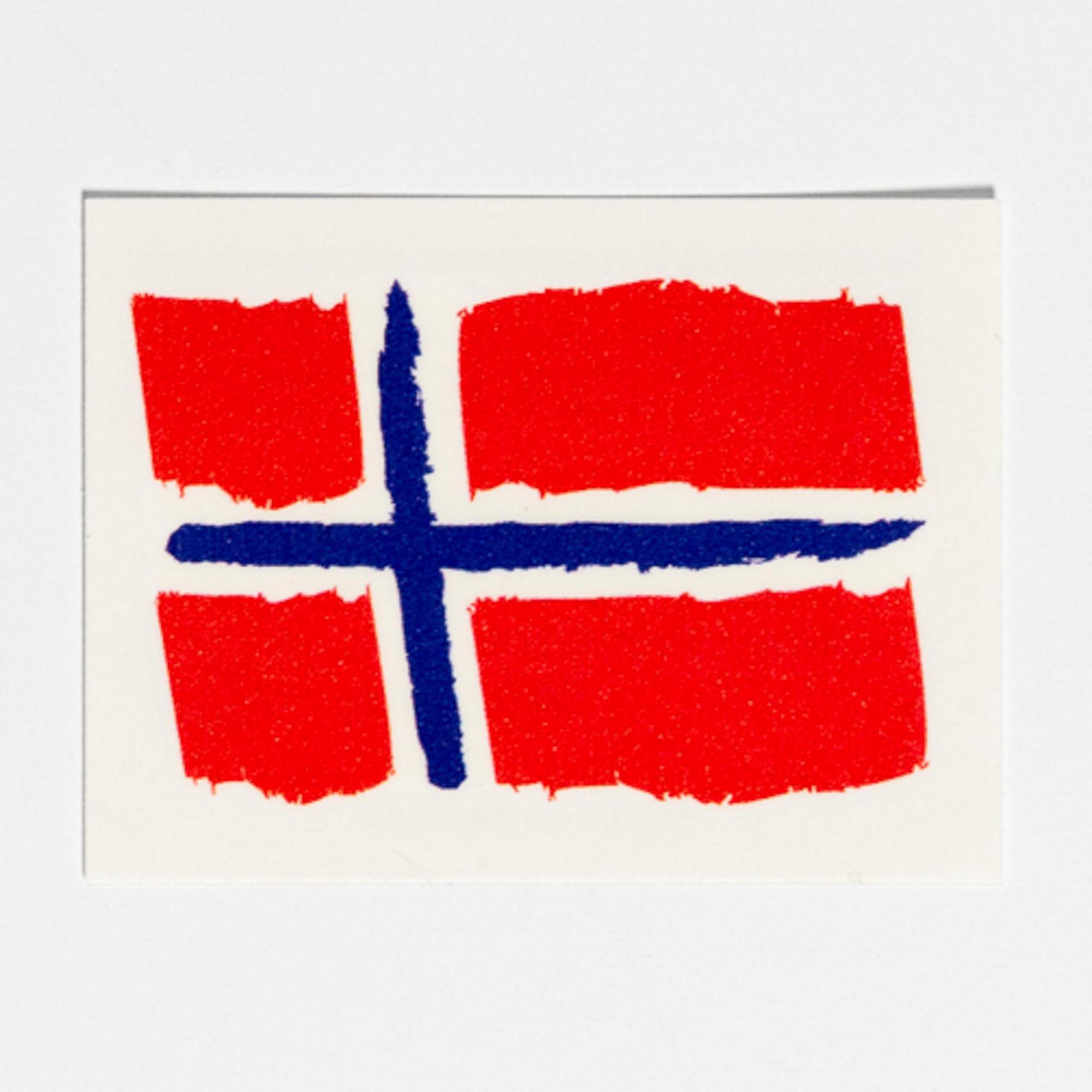 Custom  Temporary Tattoo – Norwegian Flag  |  Novelties For Fun Novelties