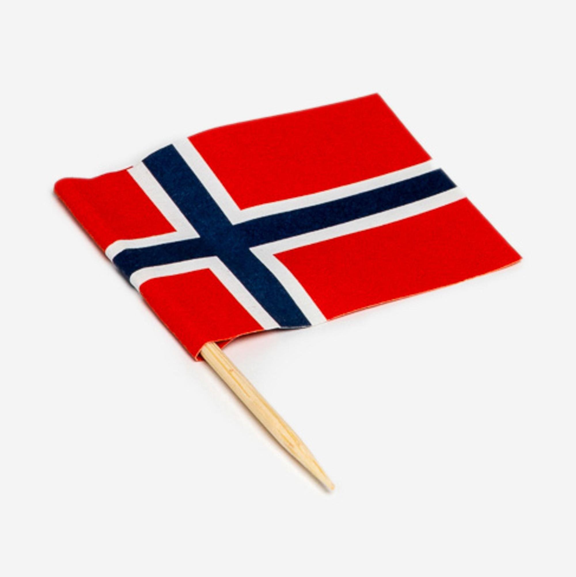 Norwegian Flag Toothpicks  |  Novelties For Fun Novelties