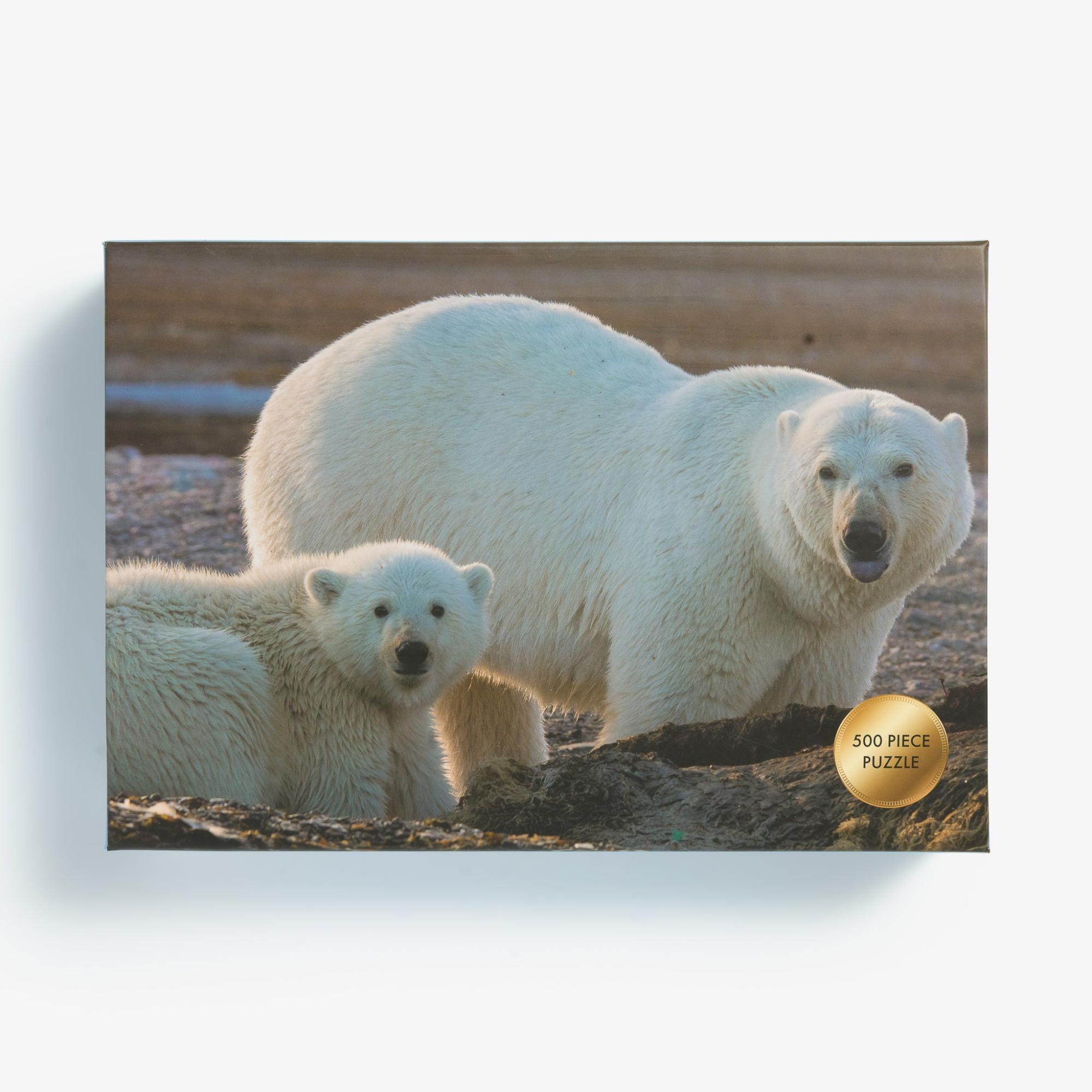 Polar Bear Puzzle by eyePOC  |  Toys For Fun Toys